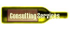 Consulting Services